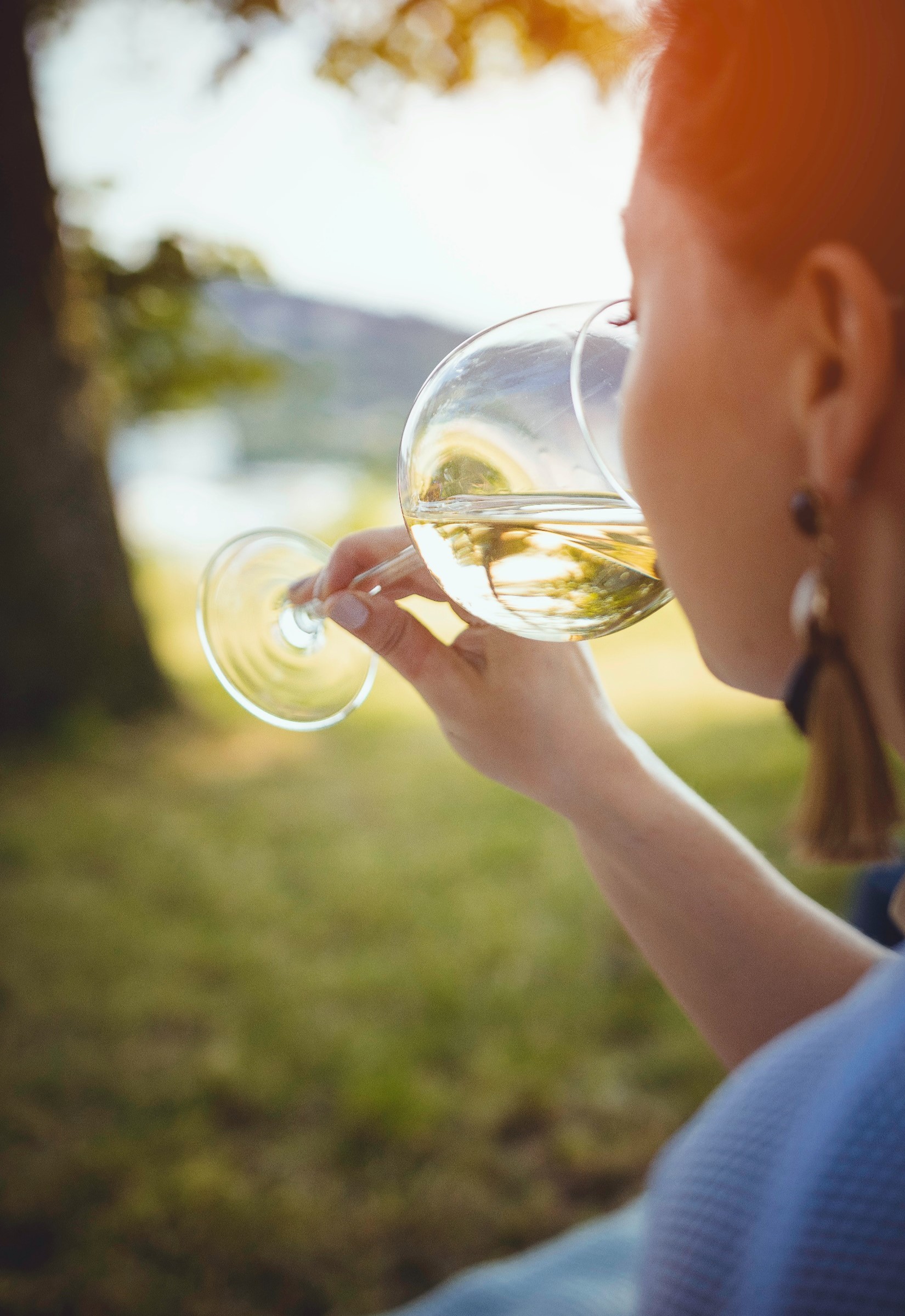 special tours T for Travel specialist tours